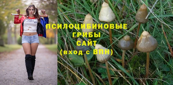 первитин Алексеевка