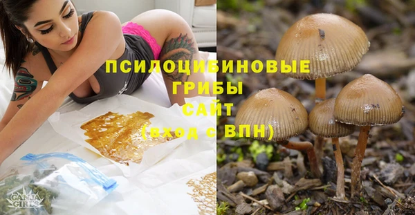 первитин Алексеевка