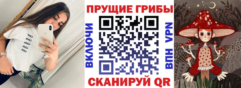 как найти закладки  Южно-Сухокумск  omg tor  Псилоцибиновые грибы MAGIC MUSHROOMS 